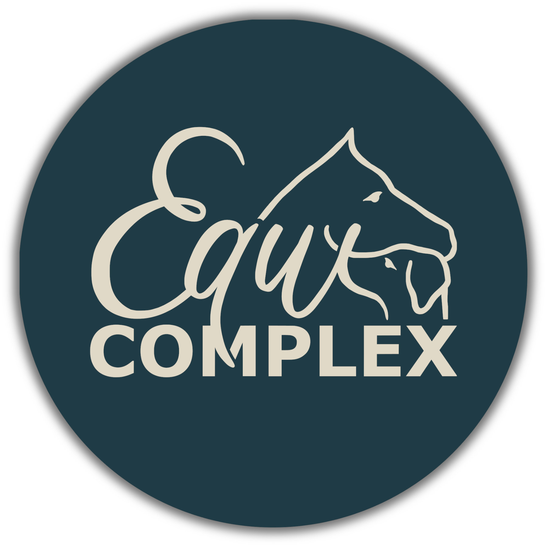 EquiComplex - masaż i rehabilitacja koni
